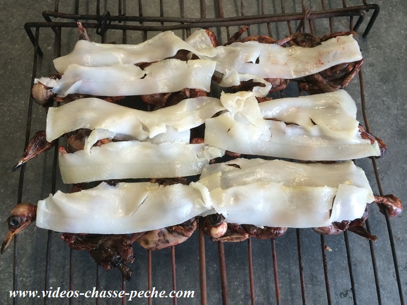 recette grive crapaudine recette grive crapaudine